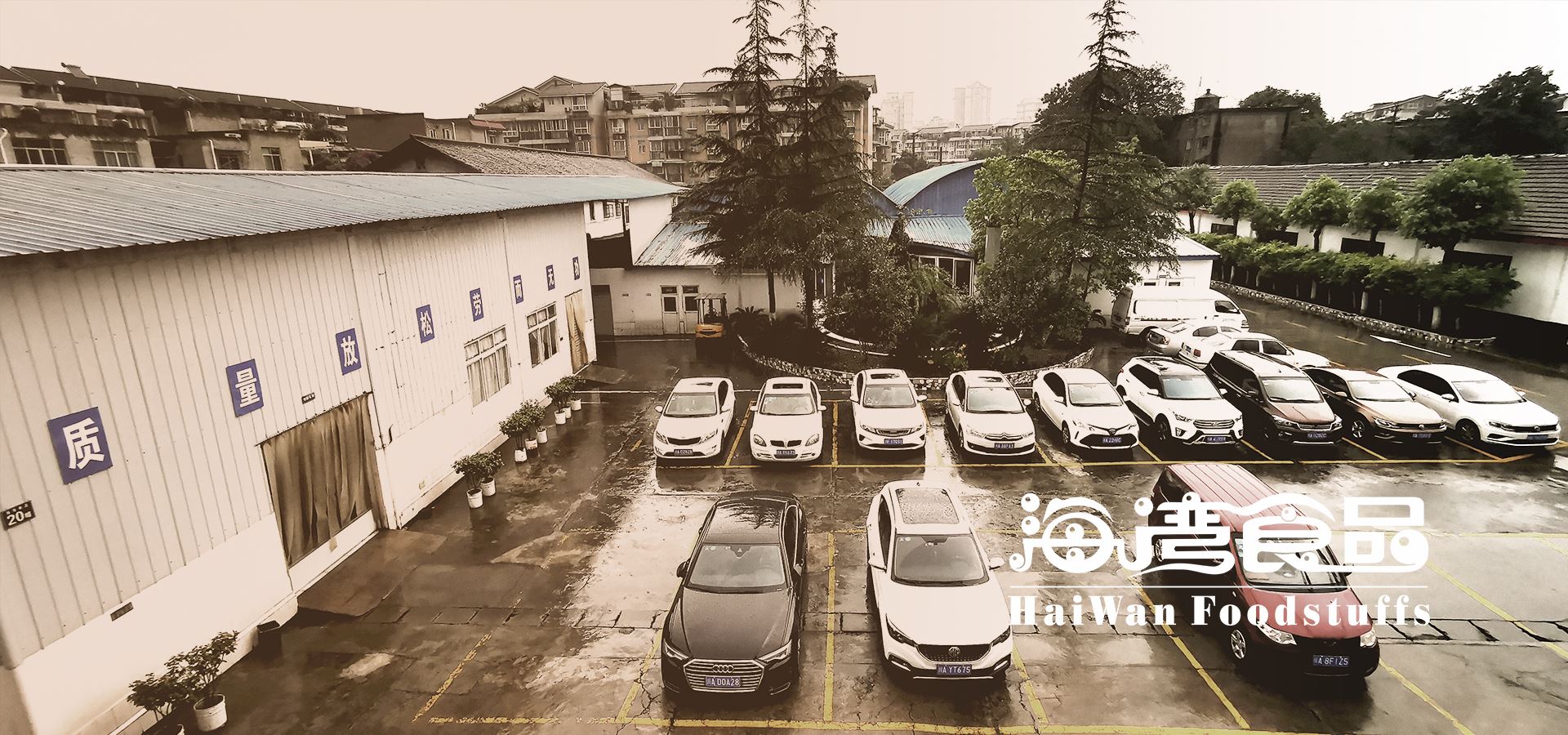 开心无限，qy球友会体育相伴！ 